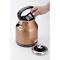 Electric Kettle Classica 2864